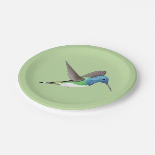 Hovering Jacobin Hummingbird - transparent. Pappteller (Schrägansicht)