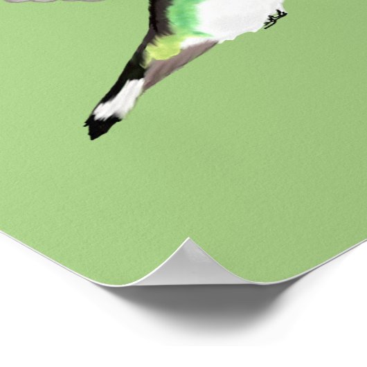 Hovering Jacobin Hummingbird - transparent. Poster (Ecke)