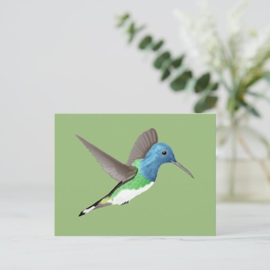 Hovering Jacobin Hummingbird - transparent. Postkarte (Stehend Vorderseite)
