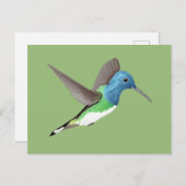 Hovering Jacobin Hummingbird - transparent. Postkarte (Vorne/Hinten)