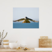 Hovering Kestrel Poster (Küche)