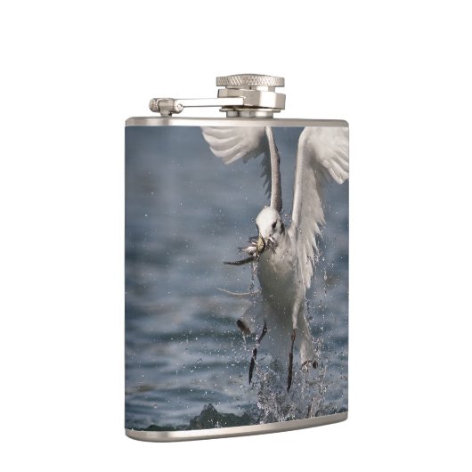 Hovering Kittiwake Flachmann (Rechts)