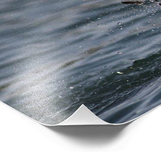 Hovering Kittiwake Fotodruck (Ecke)