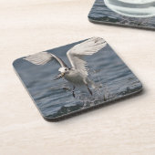 Hovering Kittiwake Getränkeuntersetzer (Linke Seite)