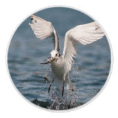 Hovering Kittiwake Keramikknauf (Vorderseite)