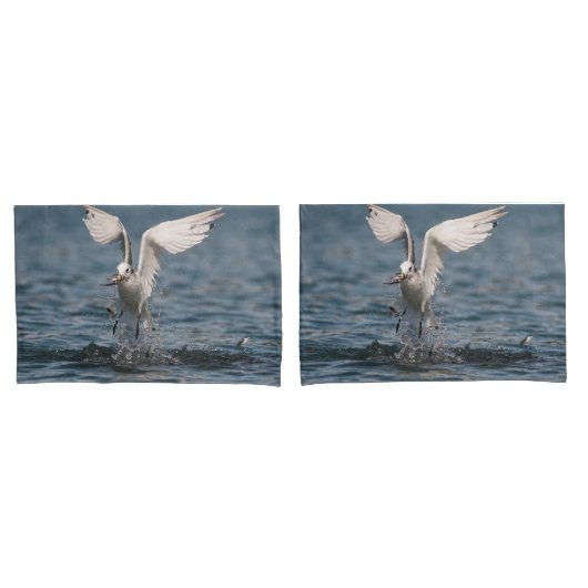 Hovering Kittiwake Kissenbezug (Vorderseite-Set)
