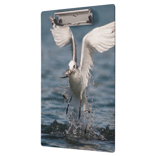 Hovering Kittiwake Klemmbrett (Links)