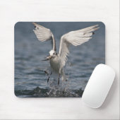Hovering Kittiwake Mousepad (Mit Mouse)