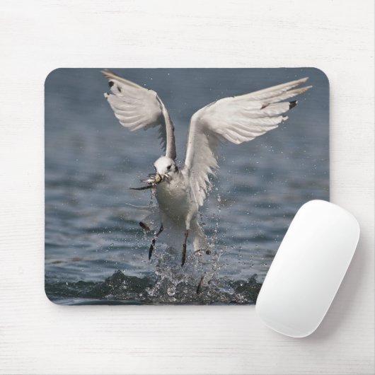 Hovering Kittiwake Mousepad (Mit Mouse)