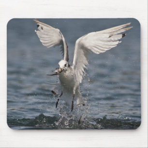 Hovering Kittiwake Mousepad