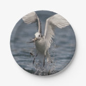 Hovering Kittiwake Pappteller (Vorderseite)