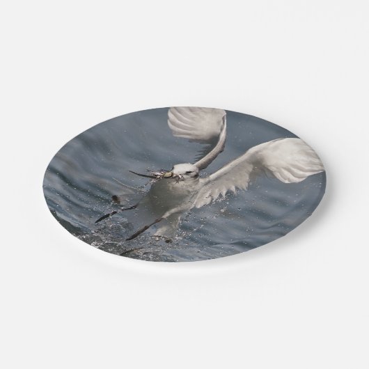 Hovering Kittiwake Pappteller (Schrägansicht)