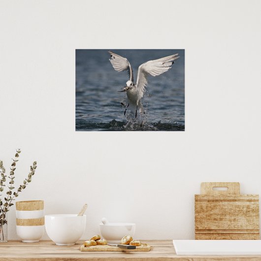 Hovering Kittiwake Poster (Küche)