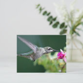 Hovering Postkarte (Stehend Vorderseite)