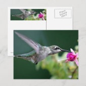 Hovering Postkarte (Vorne/Hinten)