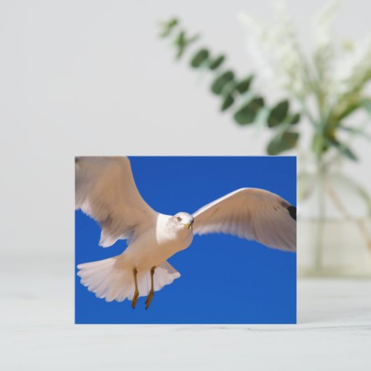 Hovering Postkarte (Stehend Vorderseite)