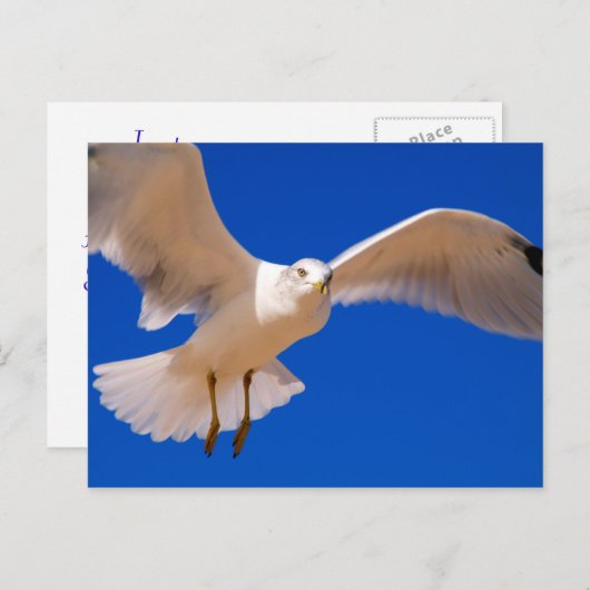 Hovering Postkarte (Vorne/Hinten)