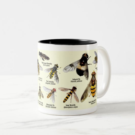 Hoveryfly Tasse - Ton 2 (VorderseiteRechts)