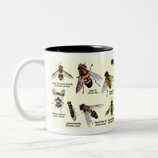 Hoveryfly Tasse - Ton 2 (Links)