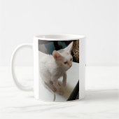 How Could You?! Coffee Mug, Guit-Trip Coffee Mug Kaffeetasse (Links)