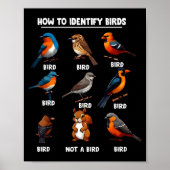 How To Identify Birds Funny Birds Identification B Poster (Vorne)