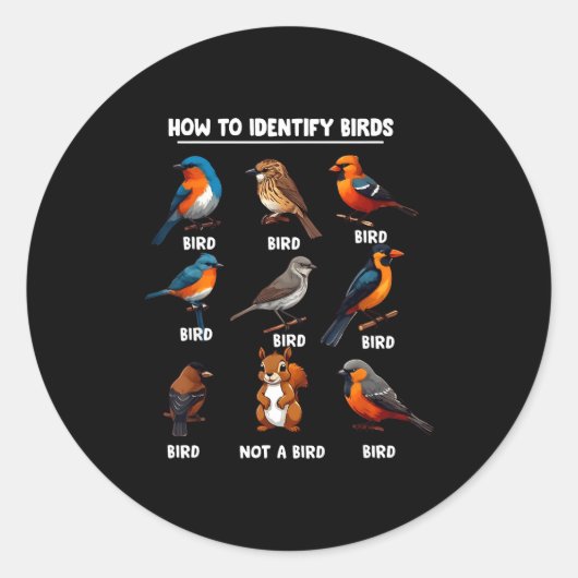 How To Identify Birds Funny Birds Identification B Runder Aufkleber (Vorderseite)
