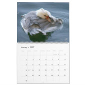 HOW TO SCRATCH AN ITCH by A. Gray Duck 2026 Kalender (Jan 2027)
