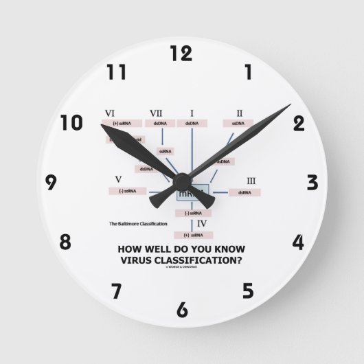 How Well Do You Know Virus Classification? Runde Wanduhr (Vorderseite)