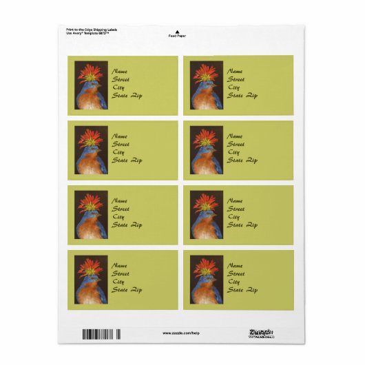 Howard des Bluebird-Adresslimit (Vorne)