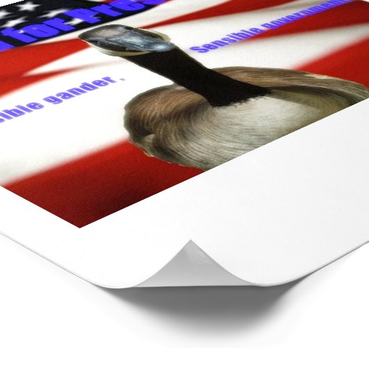 Howard für den Präsidenten 2012 Poster (Ecke)