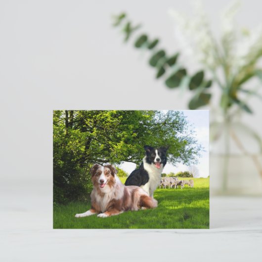 "Howdy & Buckeroo" Postkarte (Stehend Vorderseite)