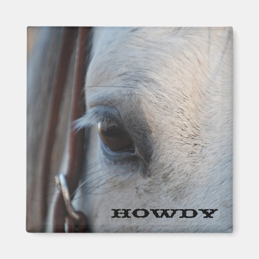 Howdy Horse Magnet (Vorne)