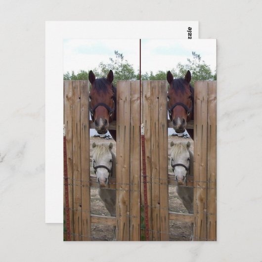 Howdy-Howdy-Horse-Bookmarkers Postkarte (Vorne/Hinten)