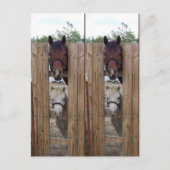 Howdy-Howdy-Horse-Bookmarkers Postkarte (Vorderseite)