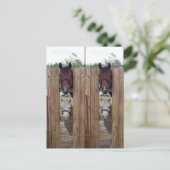 Howdy-Howdy-Horse-Bookmarkers Postkarte (Stehend Vorderseite)