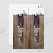 Howdy-Howdy-Horse-Bookmarkers Postkarte (Vorne/Hinten)