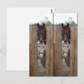 Howdy-Howdy-Horse-Bookmarkers Postkarte (Vorne/Hinten)