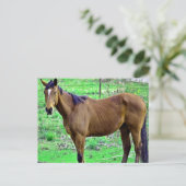 Howdy! Postkarte (Stehend Vorderseite)