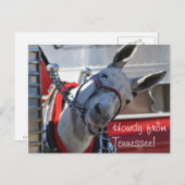 Howdy von Tennessee Mule Postcard Postkarte (Vorne/Hinten)