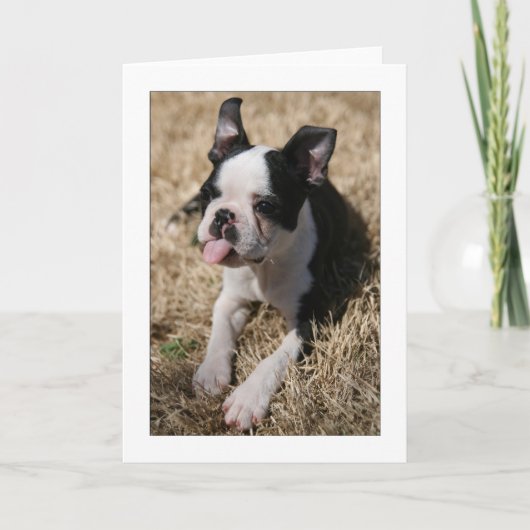 Howie haftet seine Zunge heraus Karte (Vorderseite)