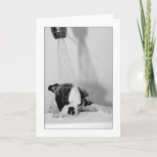 Howie im Bad Karte (Vorderseite)