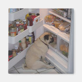 Howie Pee Pugpants Magnet (Vorne)