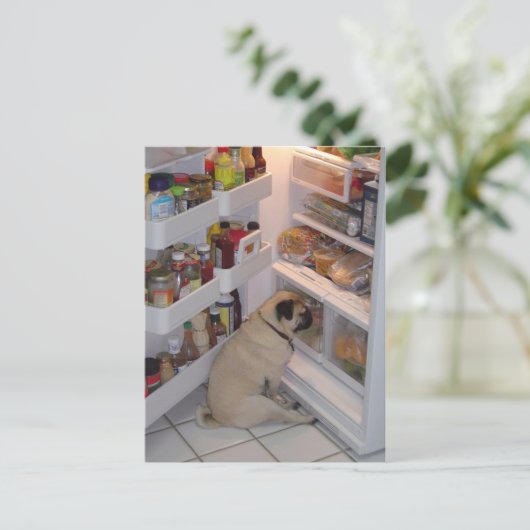 Howie Pee Pugpants Postkarte (Stehend Vorderseite)