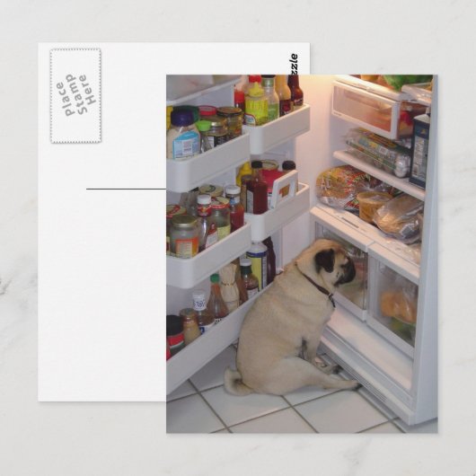 Howie Pee Pugpants Postkarte (Vorne/Hinten)