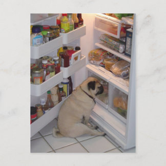 Howie Pee Pugpants Postkarte