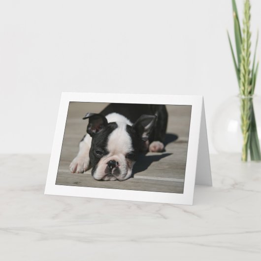 Howie Schellfische Karte (Vorderseite)