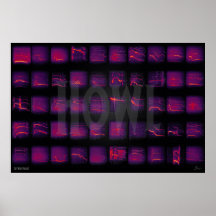 Howl: Die geheime Sprache der Wölfe