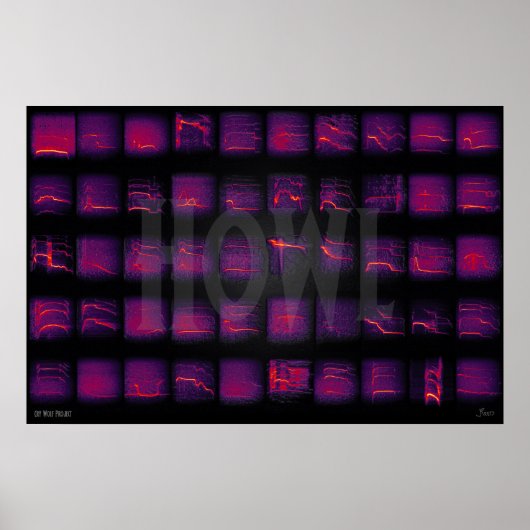 Howl: Die geheime Sprache der Wölfe Poster (Vorne)