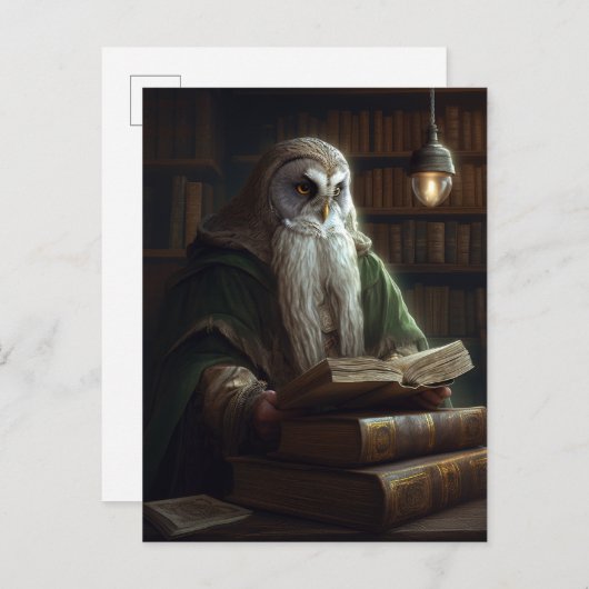 Howl Librarian Fantasy Art Postkarte (Vorne/Hinten)