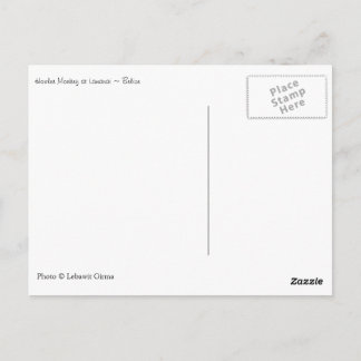 Howler Monkey, Belize Postkarte